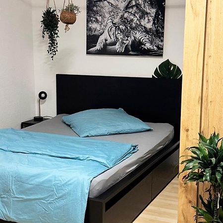 Zentrumnah Inklusive Parkplatz Jungle-Suite By Rentigo - Ruheoase Im Herzen Von Saarbruecken! エクステリア 写真