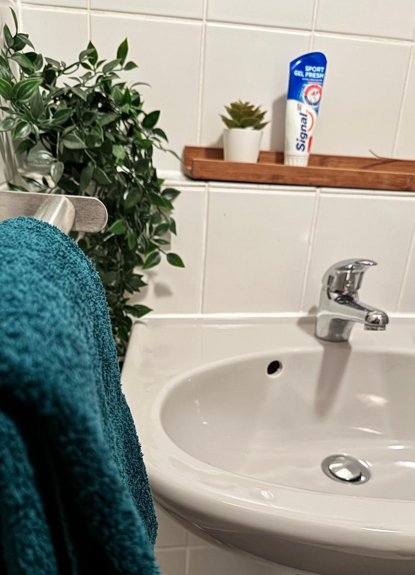 Zentrumnah Inklusive Parkplatz Jungle-Suite By Rentigo - Ruheoase Im Herzen Von Saarbruecken! エクステリア 写真