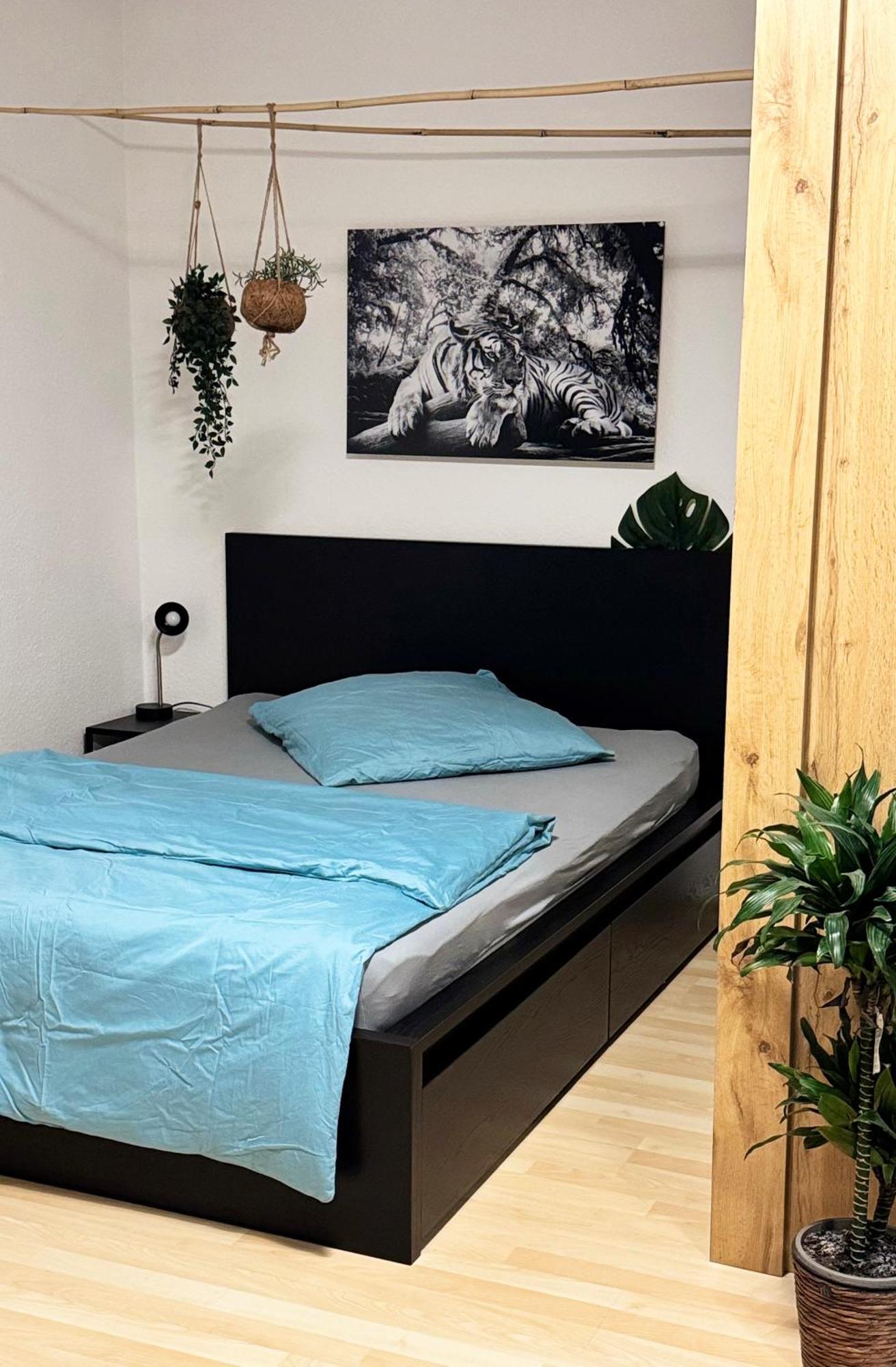 Zentrumnah Inklusive Parkplatz Jungle-Suite By Rentigo - Ruheoase Im Herzen Von Saarbruecken! エクステリア 写真