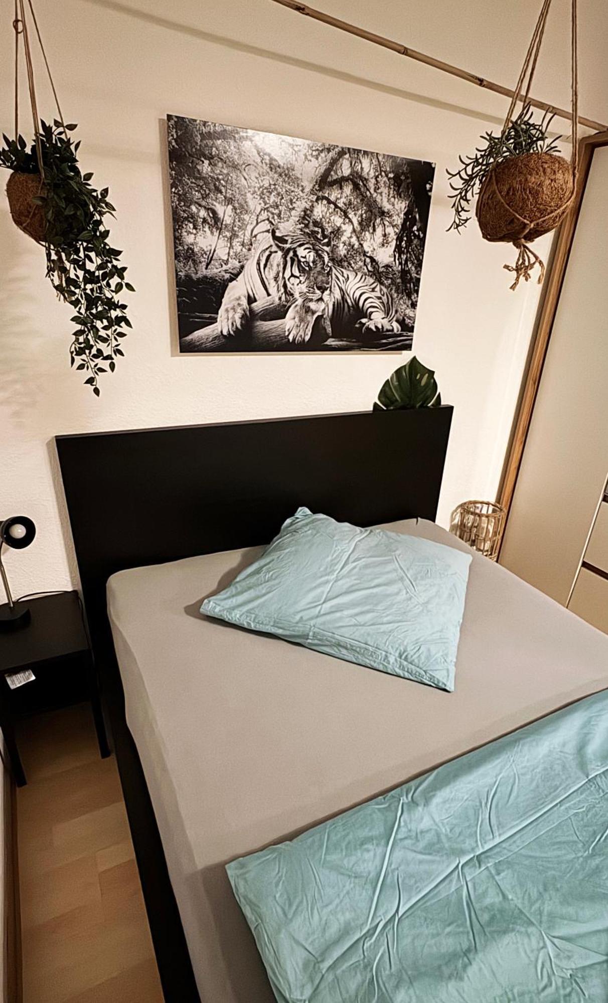 Zentrumnah Inklusive Parkplatz Jungle-Suite By Rentigo - Ruheoase Im Herzen Von Saarbruecken! エクステリア 写真